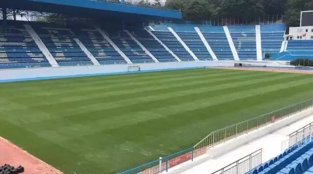  朗斯主场草皮完成全面升级，高科技排水系统保障雨战质量